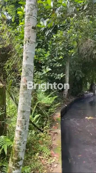 image TANAH 420 M2 DI LOKASI STRATEGIS DI KOTA TABANAN (7)