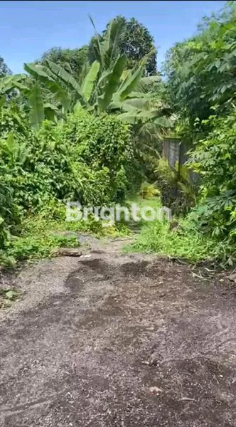 image TANAH 420 M2 DI LOKASI STRATEGIS DI KOTA TABANAN (3)