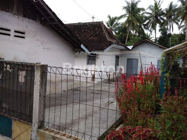 image TANAH STRATEGIS BONUS RUMAH TIMUR BANDARA YIA (2)