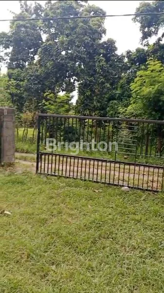 TANAH 1.500 M² | DESA MUSI, BULELENG HANYA RP 275 JUTA!