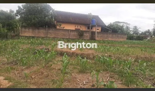 image TANAH STRATEGIS BONUS RUMAH (1)