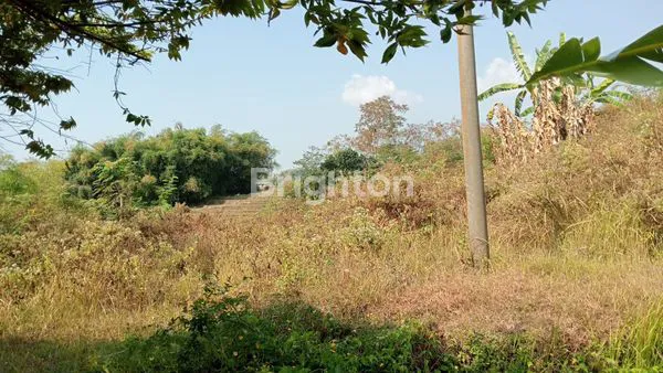 image TANAH KERING DAERAH PACET MOJOKERTO, SURAT SHM (3)