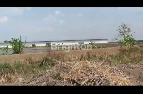 image DIJUAL TANAH (4)