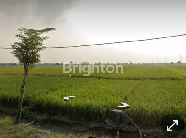 image DIJUAL TANAH INDUSTRI CARUBAN HOKKI 5HA (2)