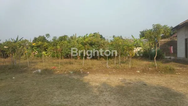 image TANAH ADA BANGUNAN (5)