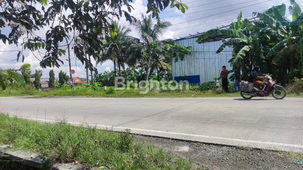 image TANAH PADAT DI KAWASAN INDUSTRI CILACAP (3)