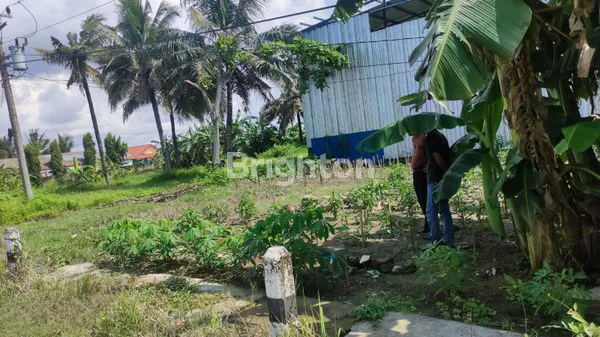 image TANAH PADAT DI KAWASAN INDUSTRI CILACAP (2)