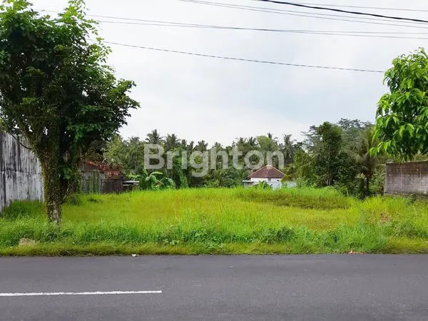 image JUAL TANAH SUNGGAL SETIA BUDI (1)