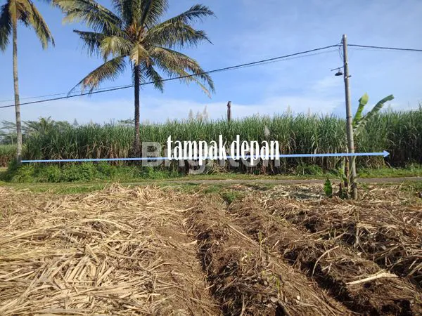 image JUAL TANAH KEPANJEN COCOK UNTUK TANAM/INVESTASI  (1)