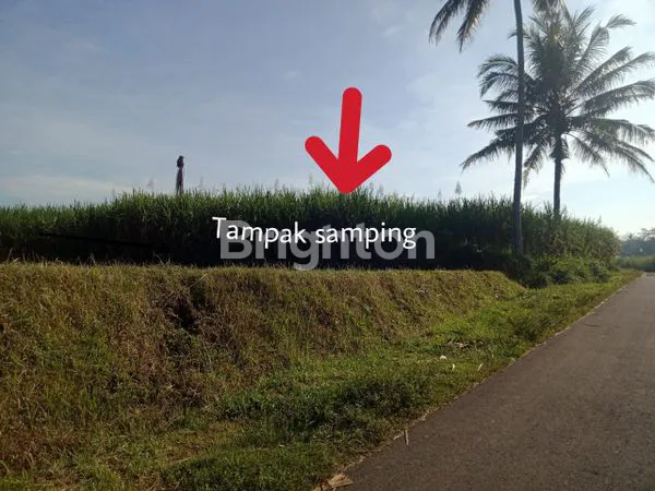 image JUAL TANAH KEPANJEN COCOK UNTUK TANAM/INVESTASI  (2)