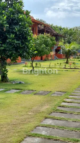 DISEWAKAN HOMESTAY! PECATU AREA!