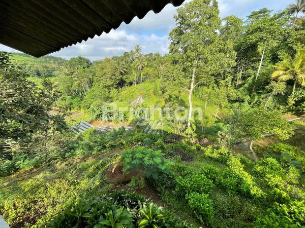 image DI JUAL TANAH STRATEGIS, PINGGIR JALAN, SANGAT COCOK BUAT  USAHA RESTORAN ATAU BUAT VILA. (3)
