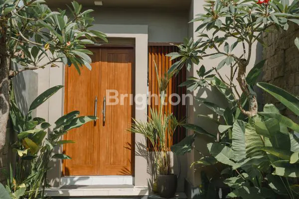 image NEW VILLA VIEW SAWAH  LOKASI SAKAH GIANYAR (1)