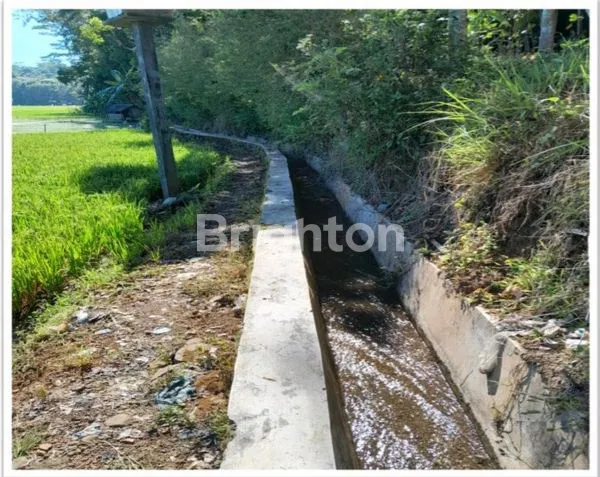 image TANAH INDUSTRI BISA UNTUK KAWASAN BERIKAT  KABUPATEN SEMARANG (6)