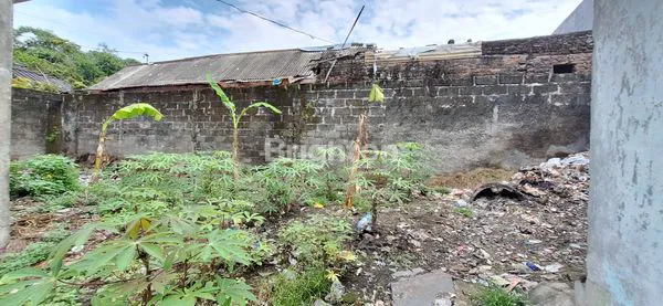 image TANAH GRATIS BONGKAR (3)