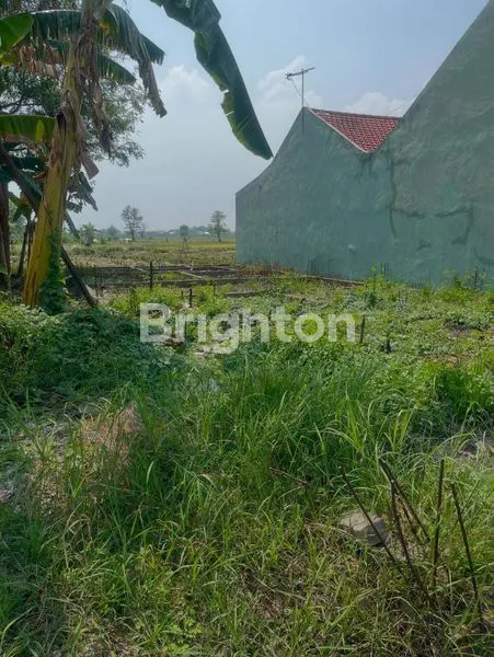image TANAH SIAP BANGUN  PERUMAHAN  CANDI SIDOARJO (3)