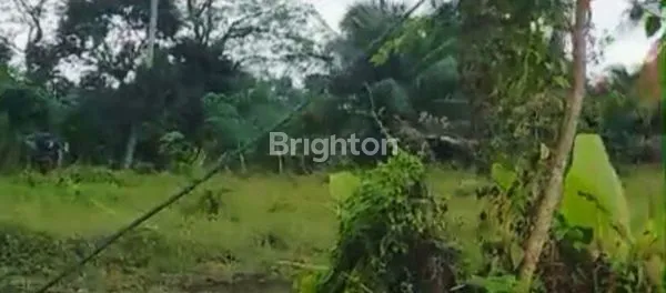 image TANAH  HOEK DI TABANAN ,BALI. COCOK UTK VILLA.  (4)