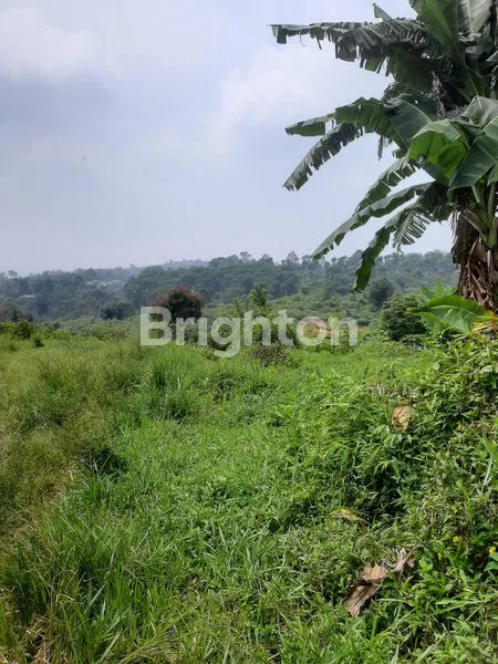 image LAHAN UNTUK PERTANIAN DENGAN VIEW PEGUNUNGAN DI CIPANAS CIANJUR (3)