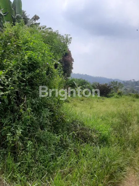 image LAHAN UNTUK PERTANIAN DENGAN VIEW PEGUNUNGAN DI CIPANAS CIANJUR (4)