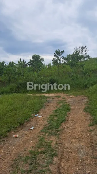 image INVESTASI MENGUNTUNGKAN, TANAH DI SUKAMAKMUR JONGGOL BOGOR (2)