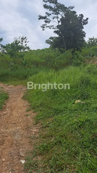 image INVESTASI MENGUNTUNGKAN, TANAH DI SUKAMAKMUR JONGGOL BOGOR (3)