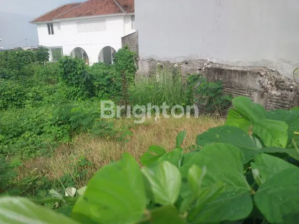 image TANAH PREMIUM DI BERAWA BADUNG BALI (4)