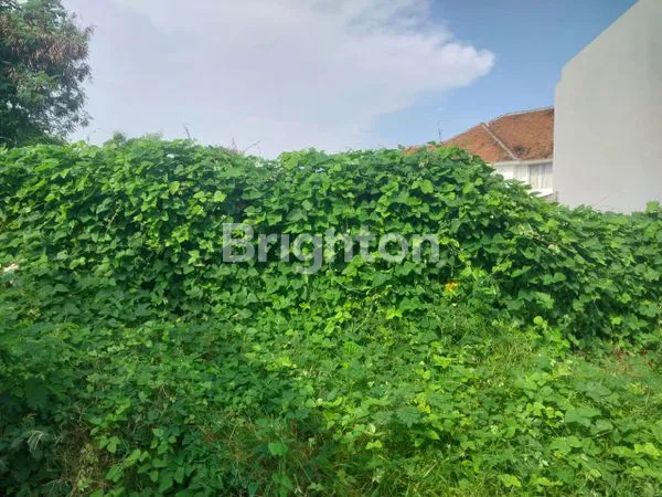 image TANAH PREMIUM DI BERAWA BADUNG BALI (2)