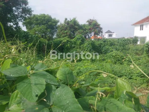 image TANAH PREMIUM DI BERAWA BADUNG BALI (7)