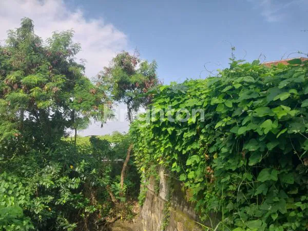 image TANAH PREMIUM DI BERAWA BADUNG BALI (6)