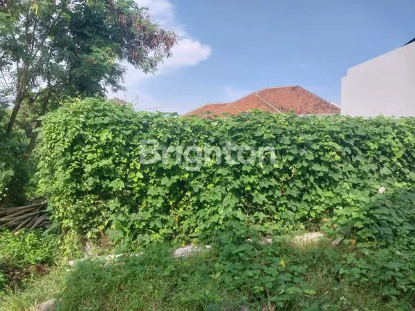 image TANAH PREMIUM DI BERAWA BADUNG BALI (8)