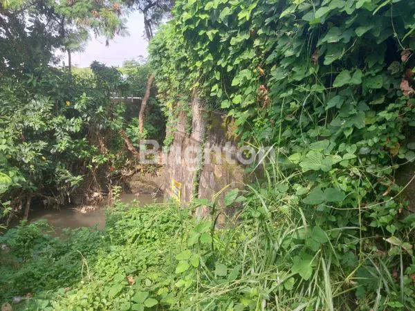 image TANAH PREMIUM DI BERAWA BADUNG BALI (5)