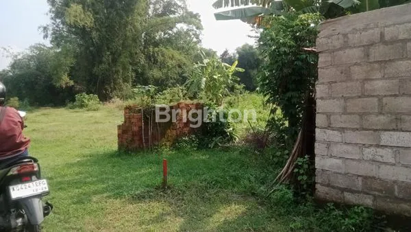 image TANAH PEKARANGAN PADAT PENDUDUK COCOK UNTUK PERUMAHAN (3)