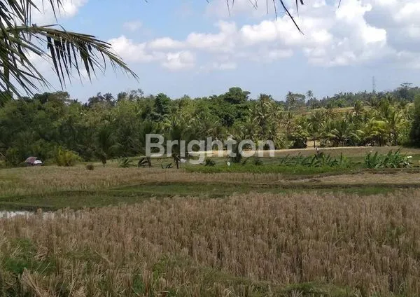 image  TANAH STRATEGIS DI BAHA MENGWI BADUNG (4)