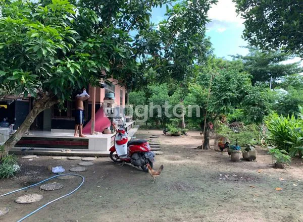 image RUMAH DAN SAWAH (3)