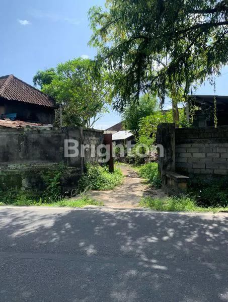 image RUMAH DAN SAWAH (5)