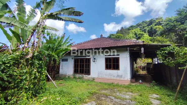 image TANAH BONUS RUMAH MUNGIL UNTUK MENIKMATI UDARA SEJUK (7)