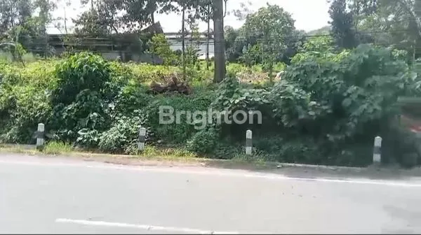 TANAH MURAH & STRATEGIS ZONA INDUSTRI, DI JALAN NASIONAL PANTURA BATANG