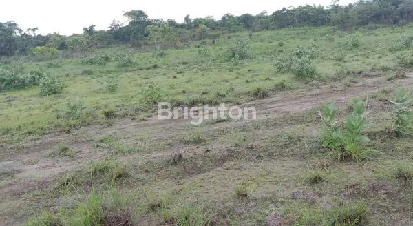 TANAH DI SUMBA BARAT DAYA NUSA TENGGARA TIMUR