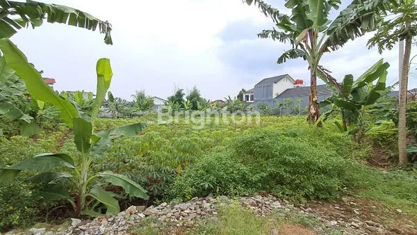 image TANAH DIBAWAH PASARAN LOKASI SANGAT STRATEGIS CILENDEK BOGOR (3)