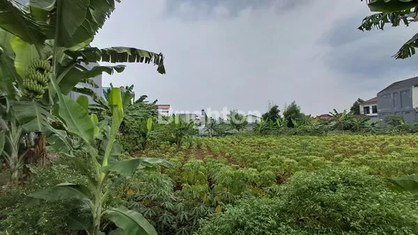 image TANAH DIBAWAH PASARAN LOKASI SANGAT STRATEGIS CILENDEK BOGOR (1)