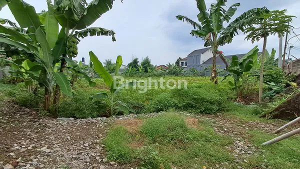 image TANAH DIBAWAH PASARAN LOKASI SANGAT STRATEGIS CILENDEK BOGOR (5)