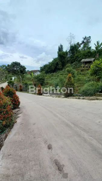 image TANAH LUAS DI CIWIDEY (6)