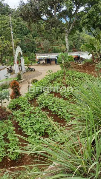 image TANAH LUAS DI CIWIDEY (1)