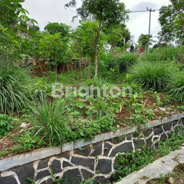 image TANAH LUAS DI CIWIDEY (2)