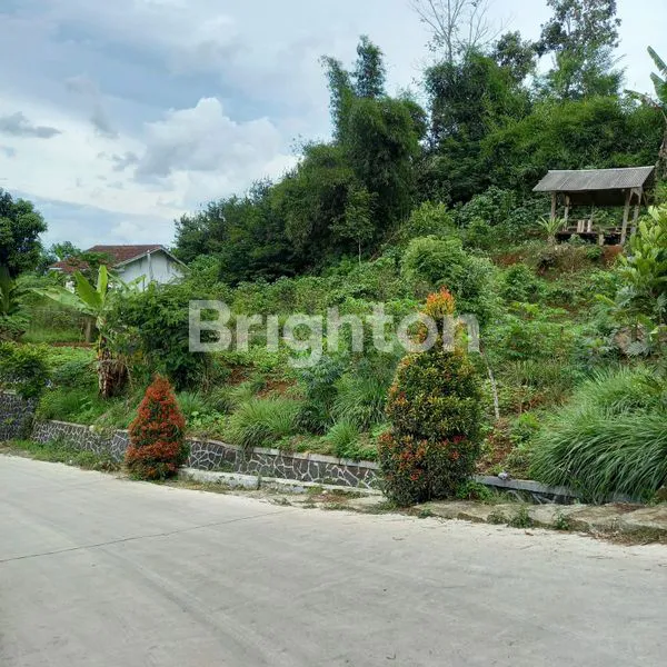 image TANAH LUAS DI CIWIDEY (3)