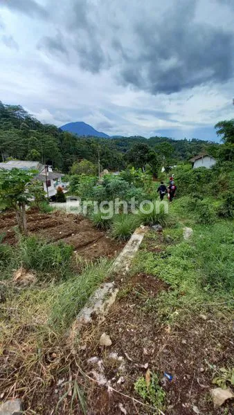 image TANAH LUAS DI CIWIDEY (7)