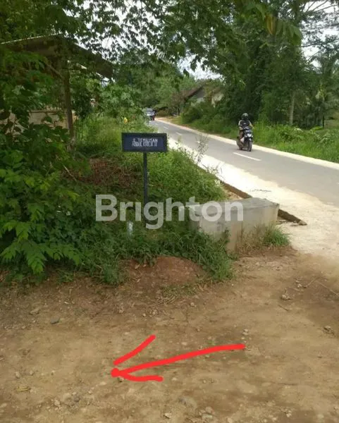 TANAH SABAH BALAU LAMPUNG SELATAN