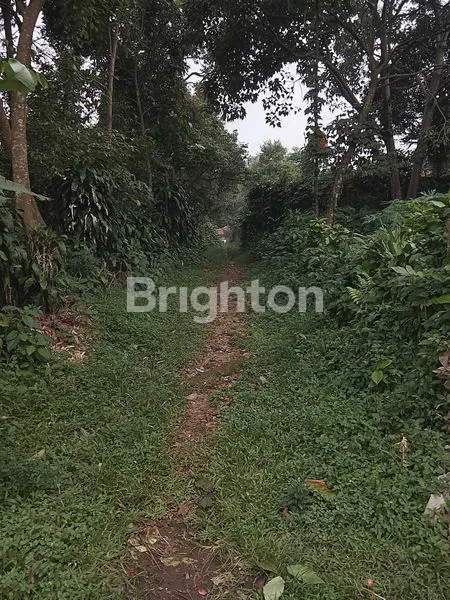 image SERIUS, MURAH MERIAH, CIAPUS TAMANSARI BOGOR  (4)