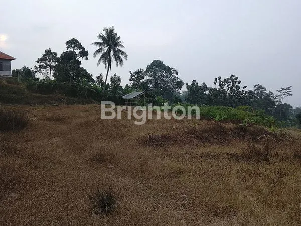 image SERIUS, MURAH MERIAH, CIAPUS TAMANSARI BOGOR  (2)