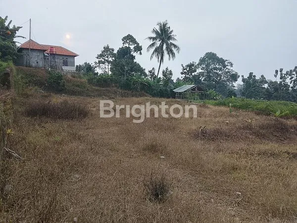 image SERIUS, MURAH MERIAH, CIAPUS TAMANSARI BOGOR  (1)